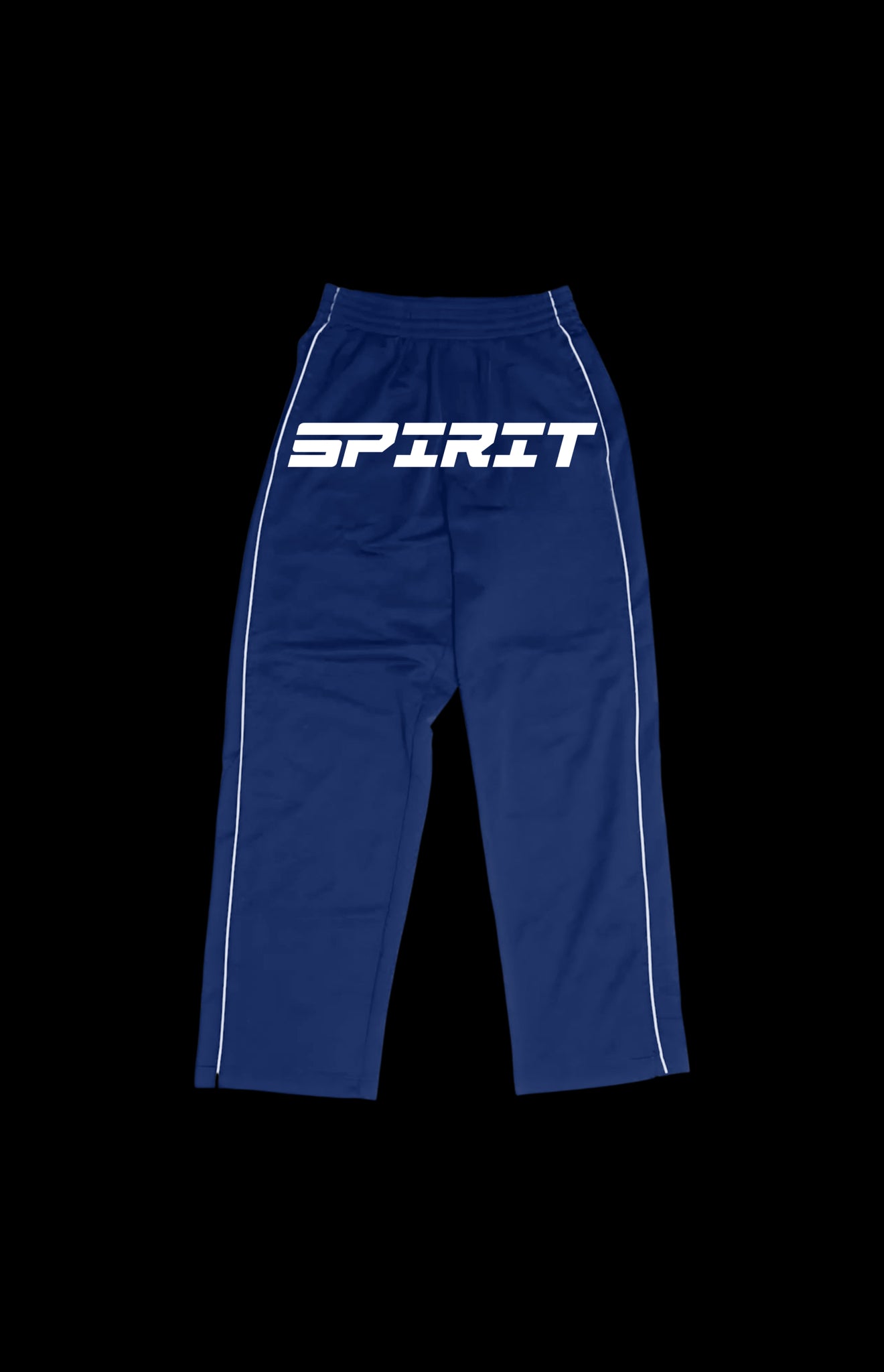 Blue RS TECH Pants