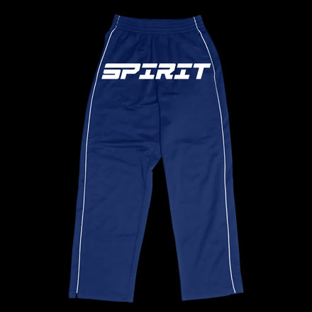 Blue RS TECH Pants